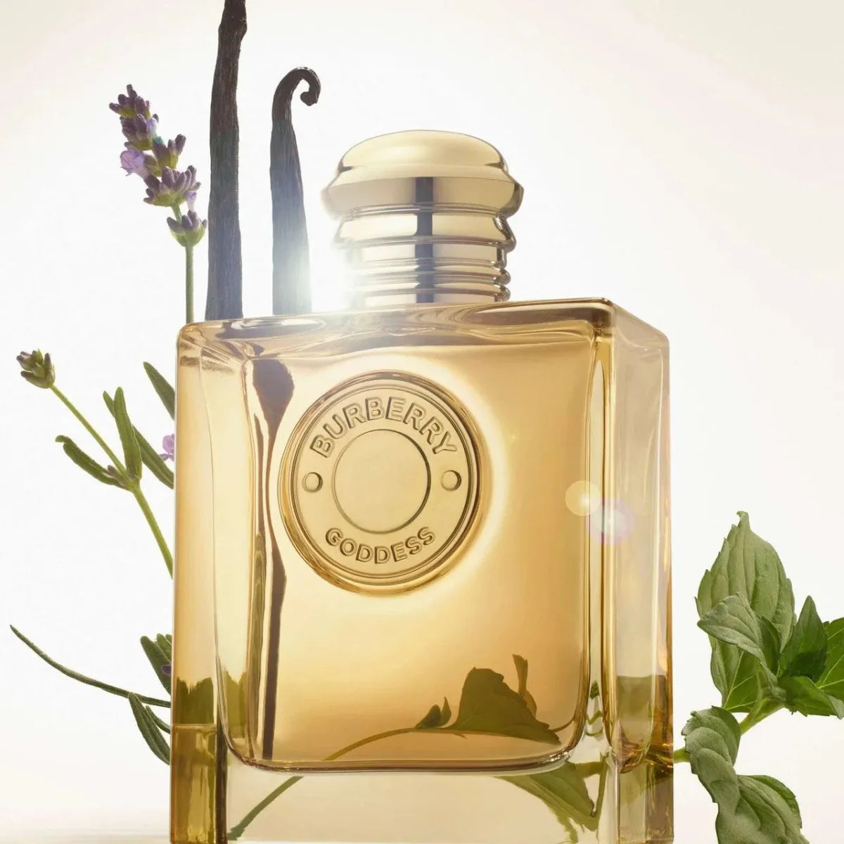 Burberry Goddess Intense Fragrance 3.3 oz 3616304967122