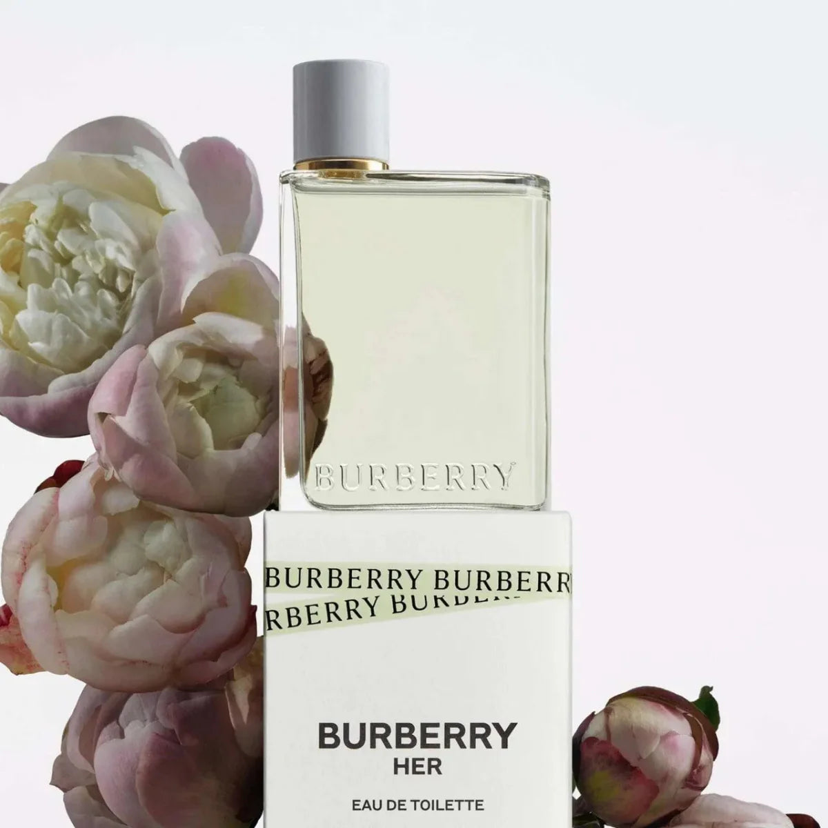 Burberry Her Fragrance 3.3 oz 3616301975755