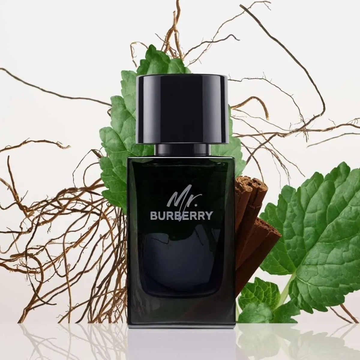Burberry Mr. Burberry Fragrance 3.4 oz 3616301838210