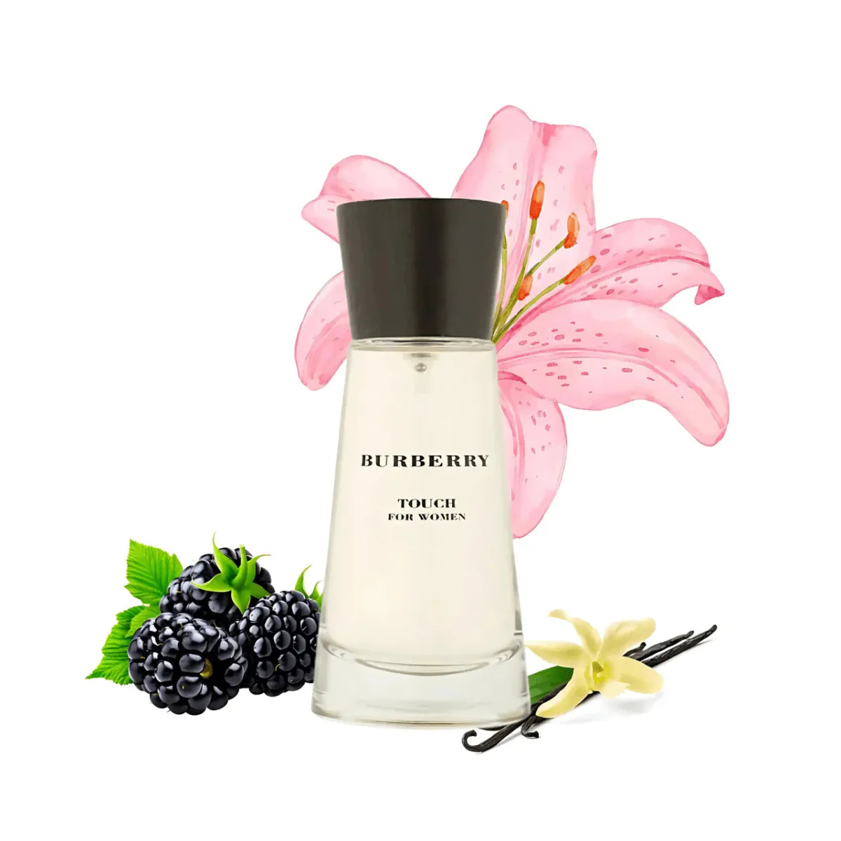 Burberry Touch Fragrance 3.3 oz 3614226905000