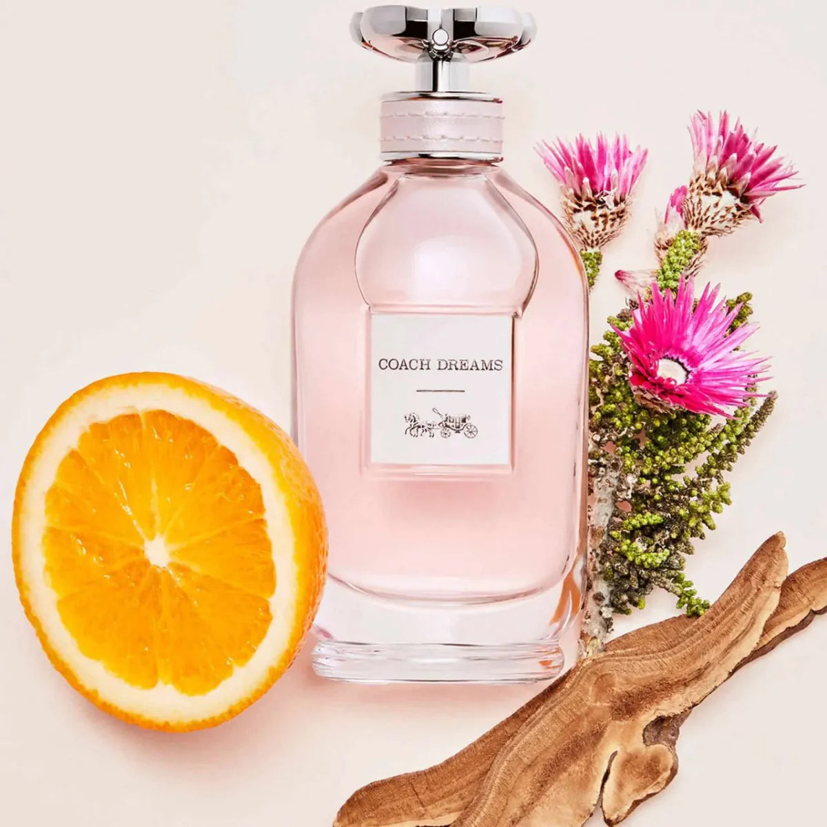 Coach Dreams Fragrance 3.0 oz 3386460109567