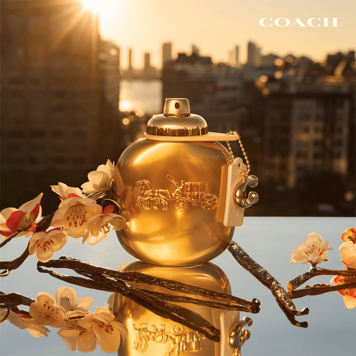 Coach Gold Fragrance 3.0 oz 3386460156707