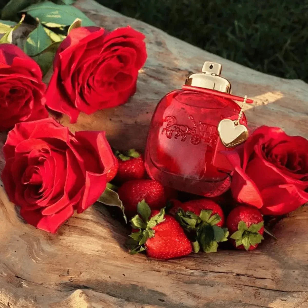 Coach Love Gift Set Set 1 3386460141956