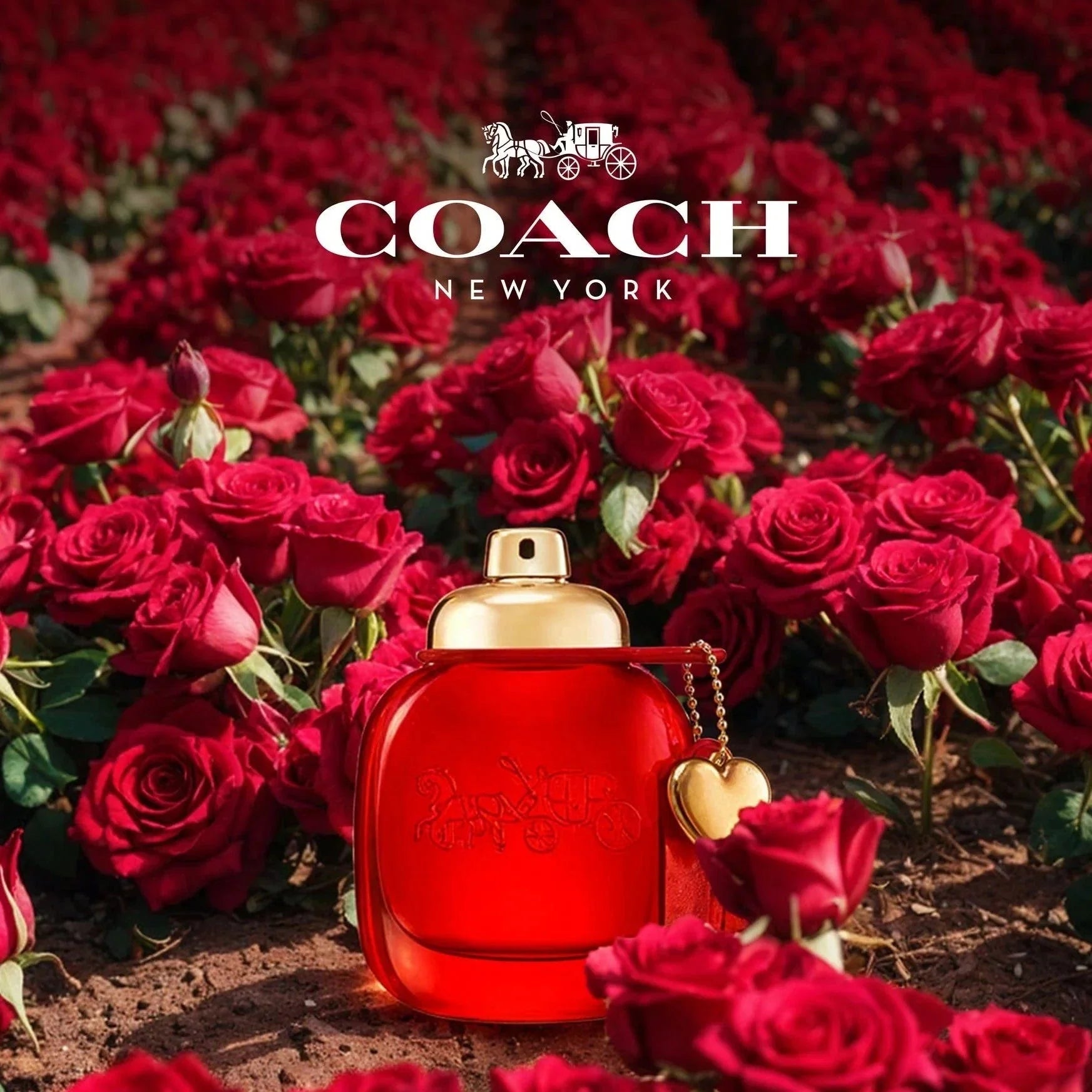 Coach Love Gift Set Set 1 3386460148801