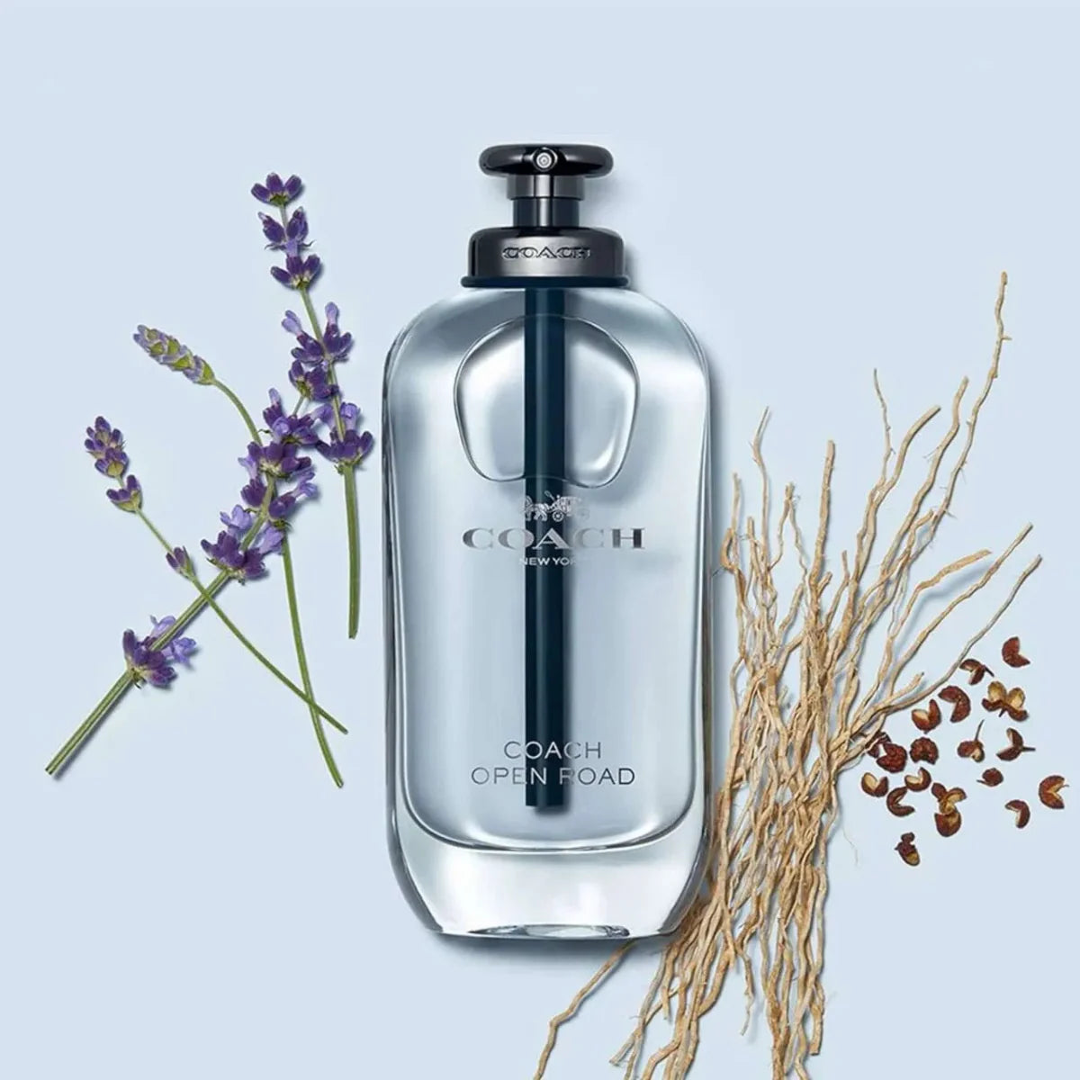 Coach Open Road Fragrance 3.0 oz 3386460126625