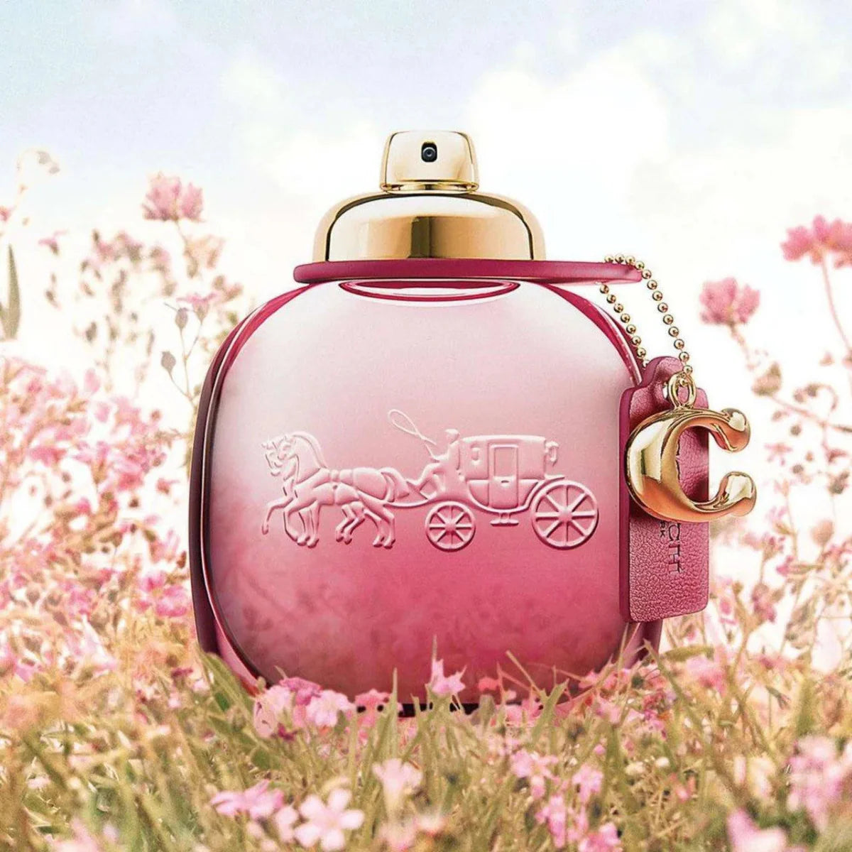 Coach Wild Rose Fragrance 3.0 oz 3386460126571