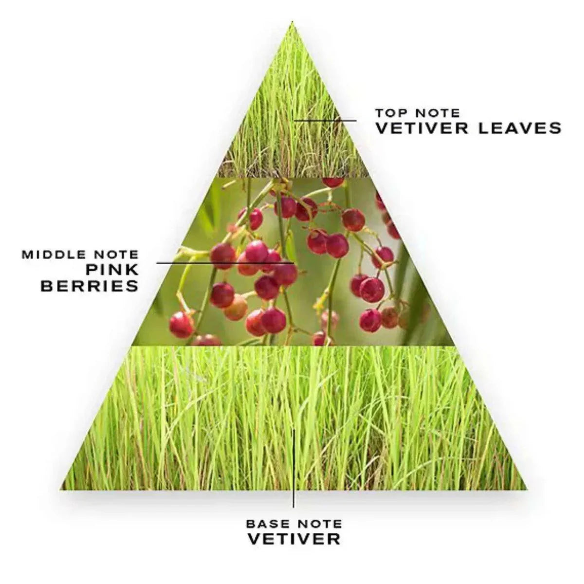 Creed Vetiver Fragrance 3.4 oz 3508441001091