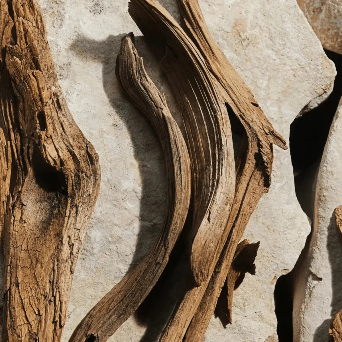 Dolce & Gabbana Light Blue Fragrance 3.3 oz 8057971180318