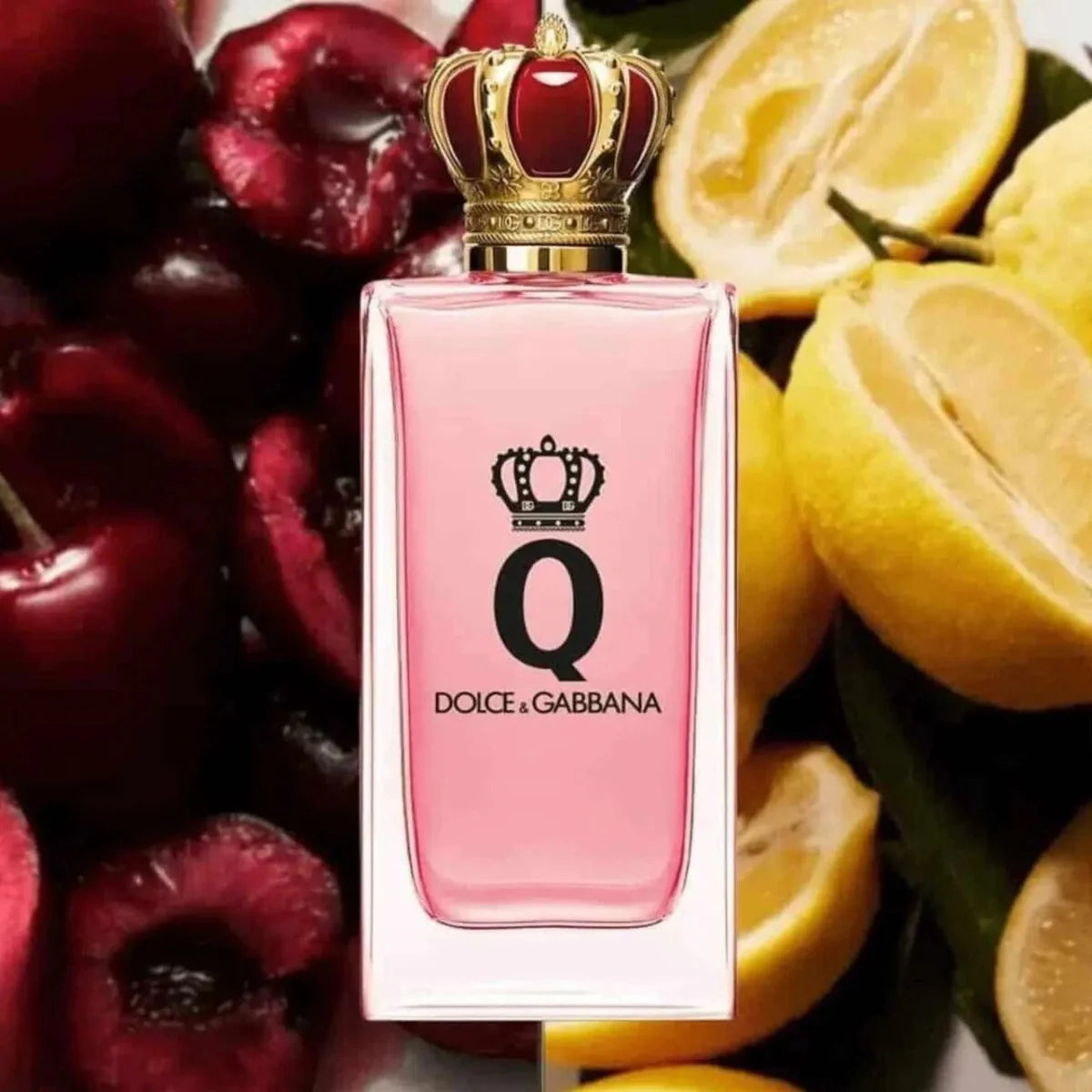 Dolce & Gabbana Q Tester 3.3 oz 8057971183609