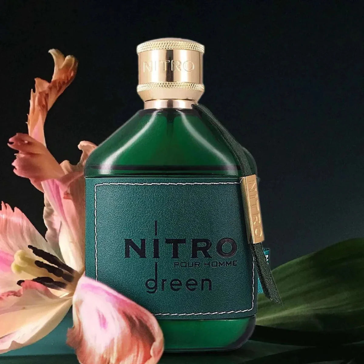 Dumont Nitro Green Fragrance 3.4 oz 3760060761279