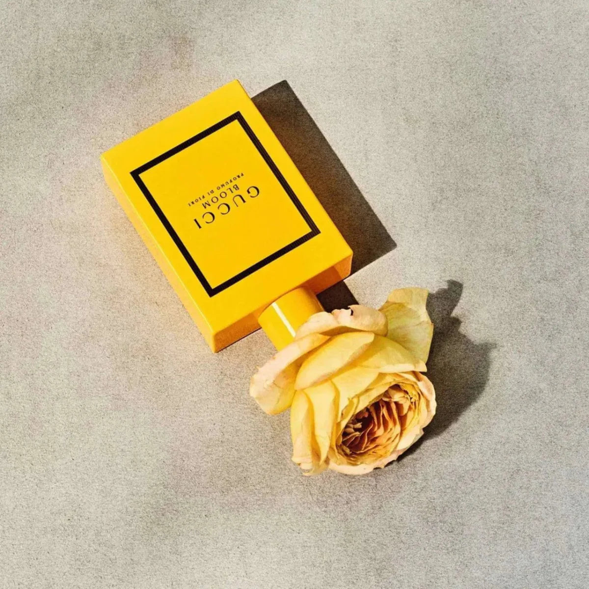 Gucci Bloom Profumo Di Fiori Fragrance 3.3 oz 3614229461312