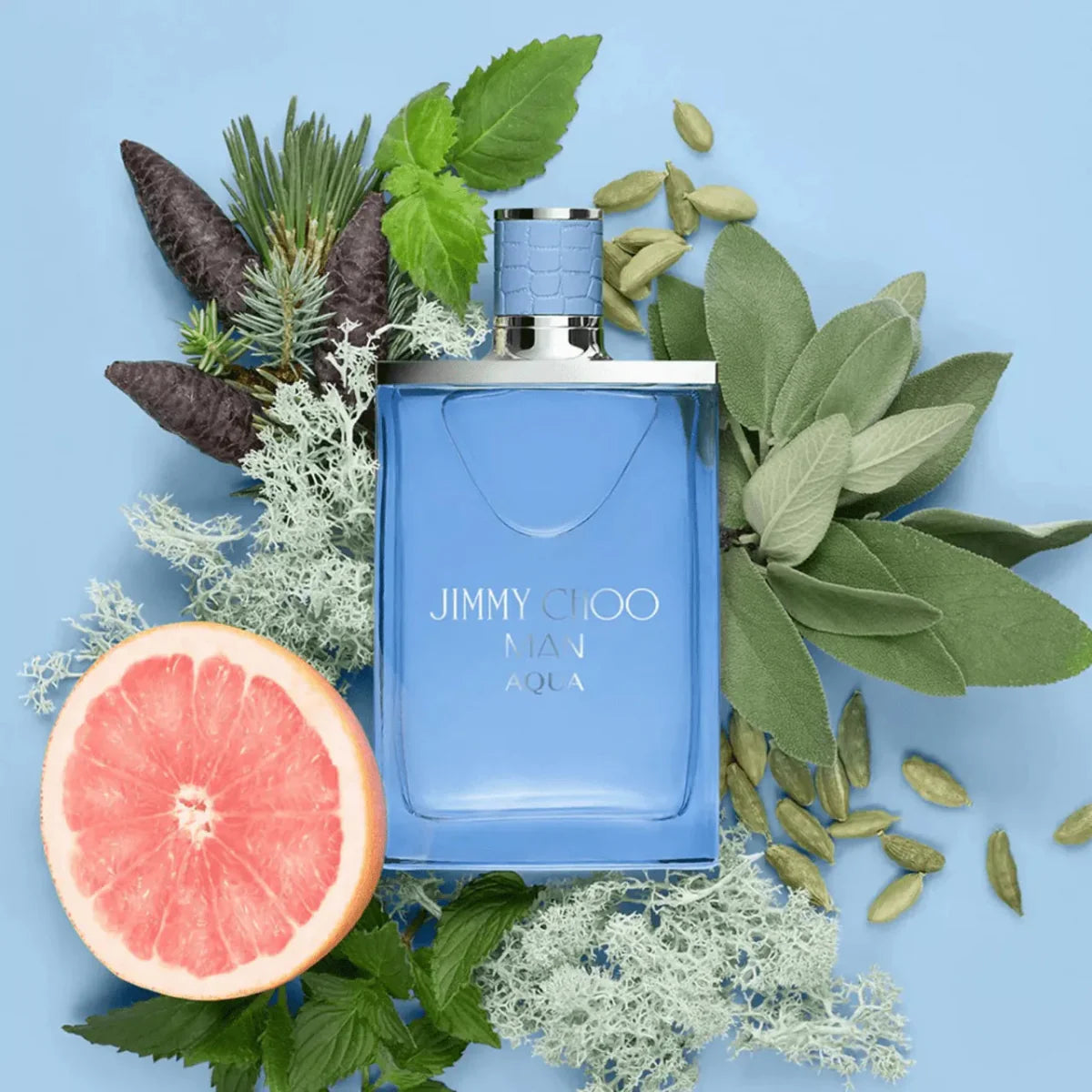 Jimmy Choo Aqua Fragrance 1.7 oz 3386460129831