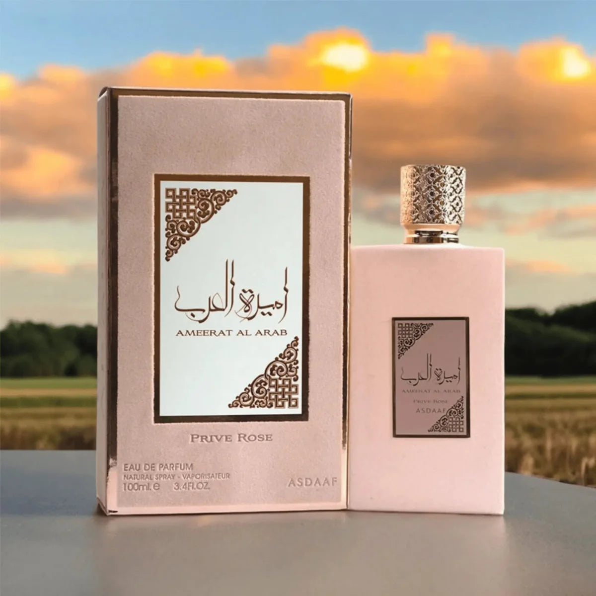 Lattafa Ameerat Al Arab Prive Rose Fragrance 3.4 oz 6290360590868