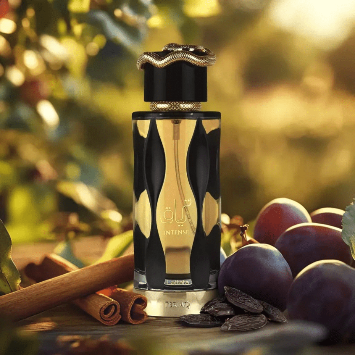 Lattafa Teriaq International Fragrance 3.4 oz 6290360595771