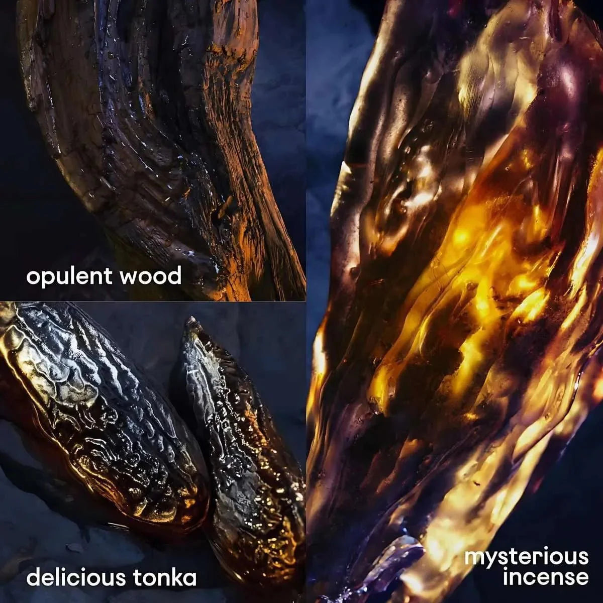 Paco Rabanne Invictus Victory Elixir Fragrance 3.4 oz 3349668614523