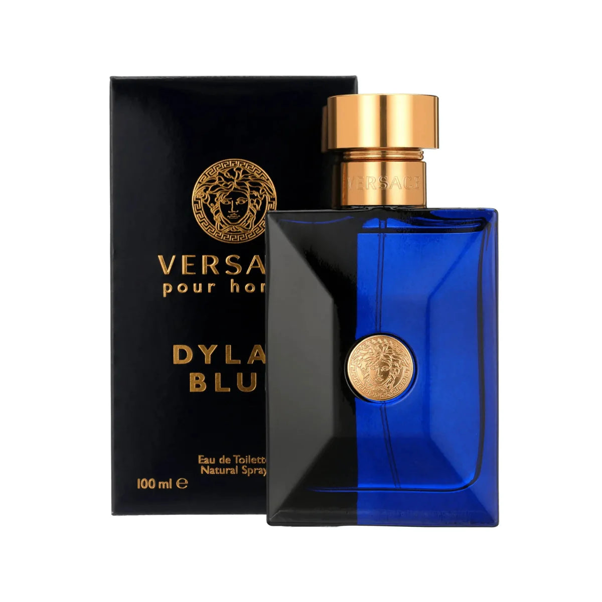 Versace Dylan Blue Fragrance 3.4 oz 8011003825745