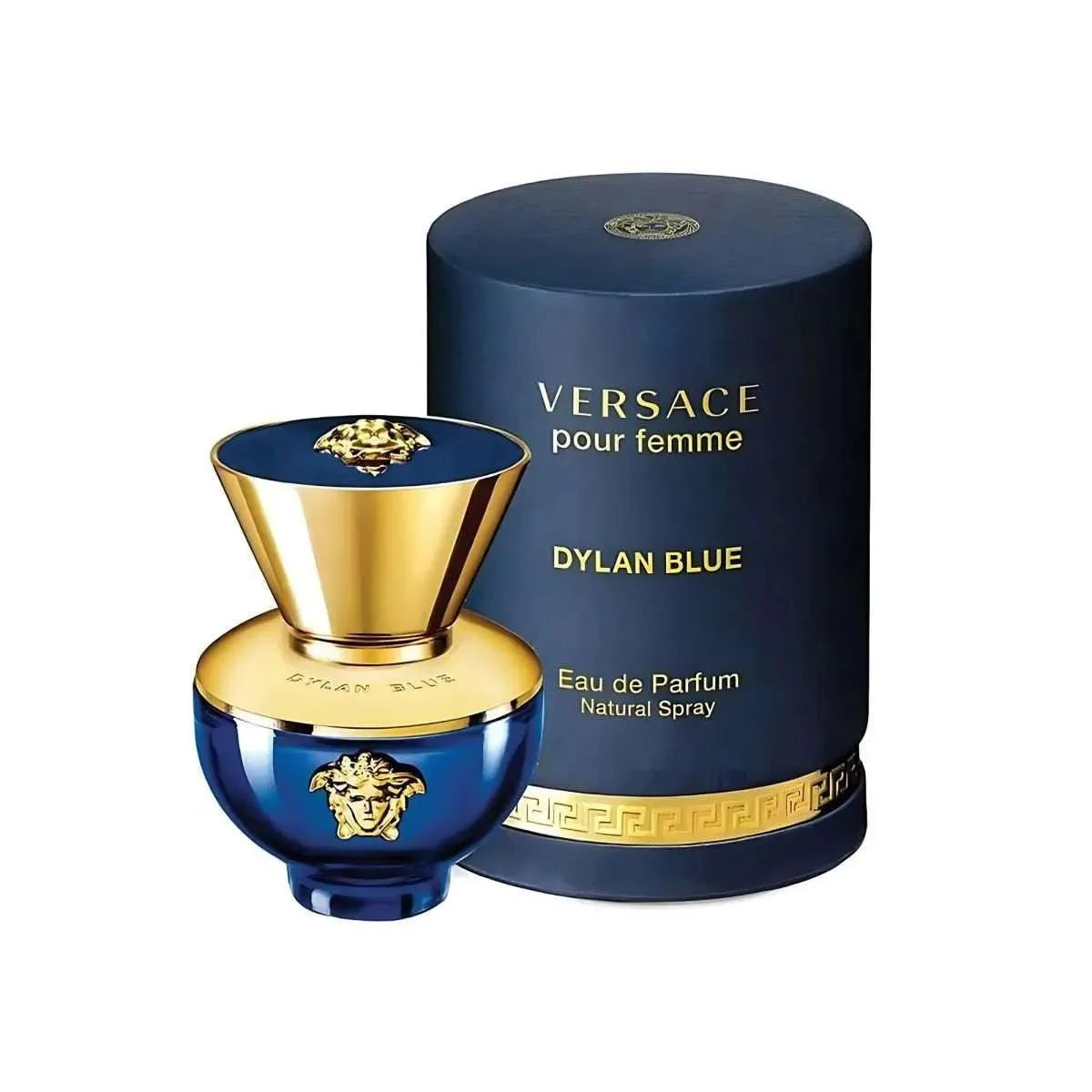 Versace Dylan Blue Fragrance 3.4 oz 8011003839117