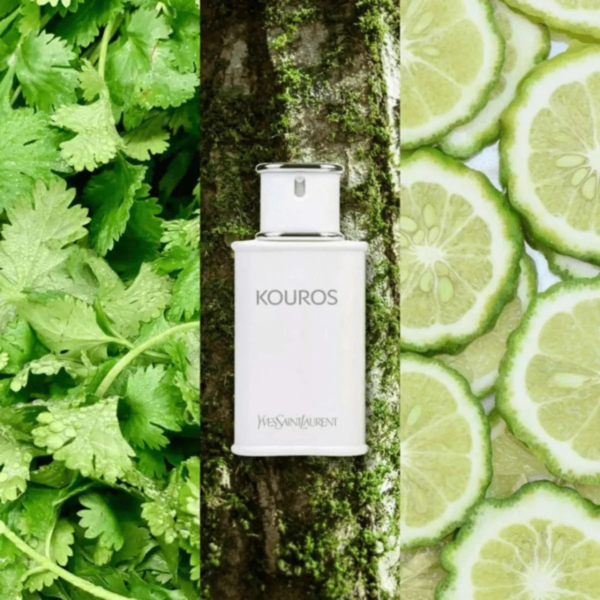 Yves Saint Laurent Kouros Fragrance 3.3 oz 3365440003866