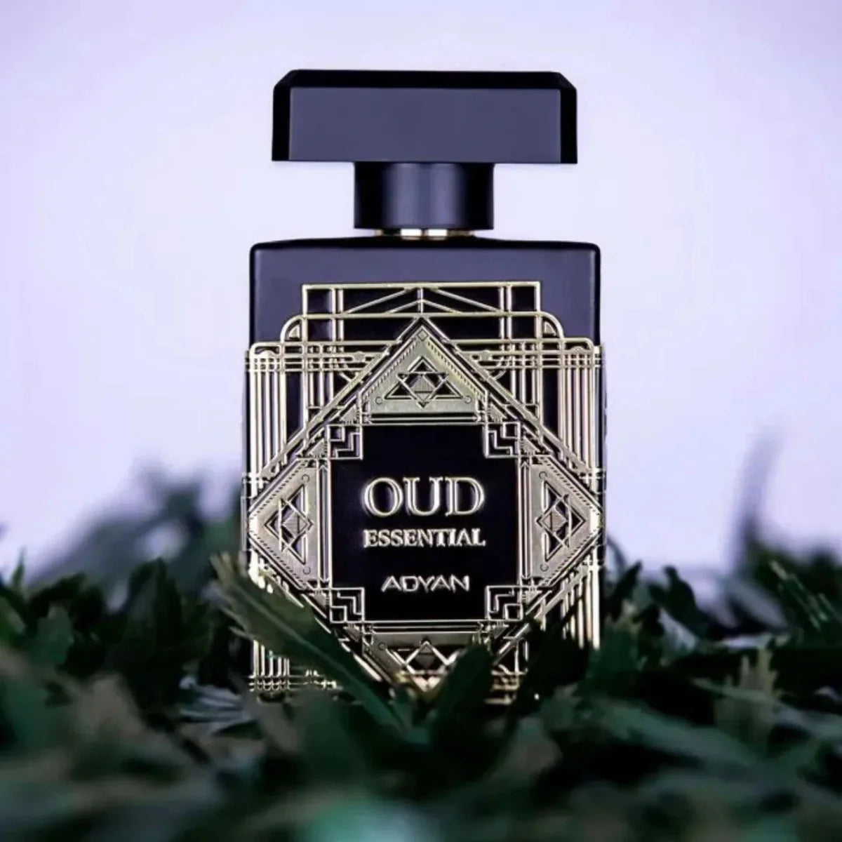 Adyan Oud Essential Fragrance 3.4 oz 6292257640250