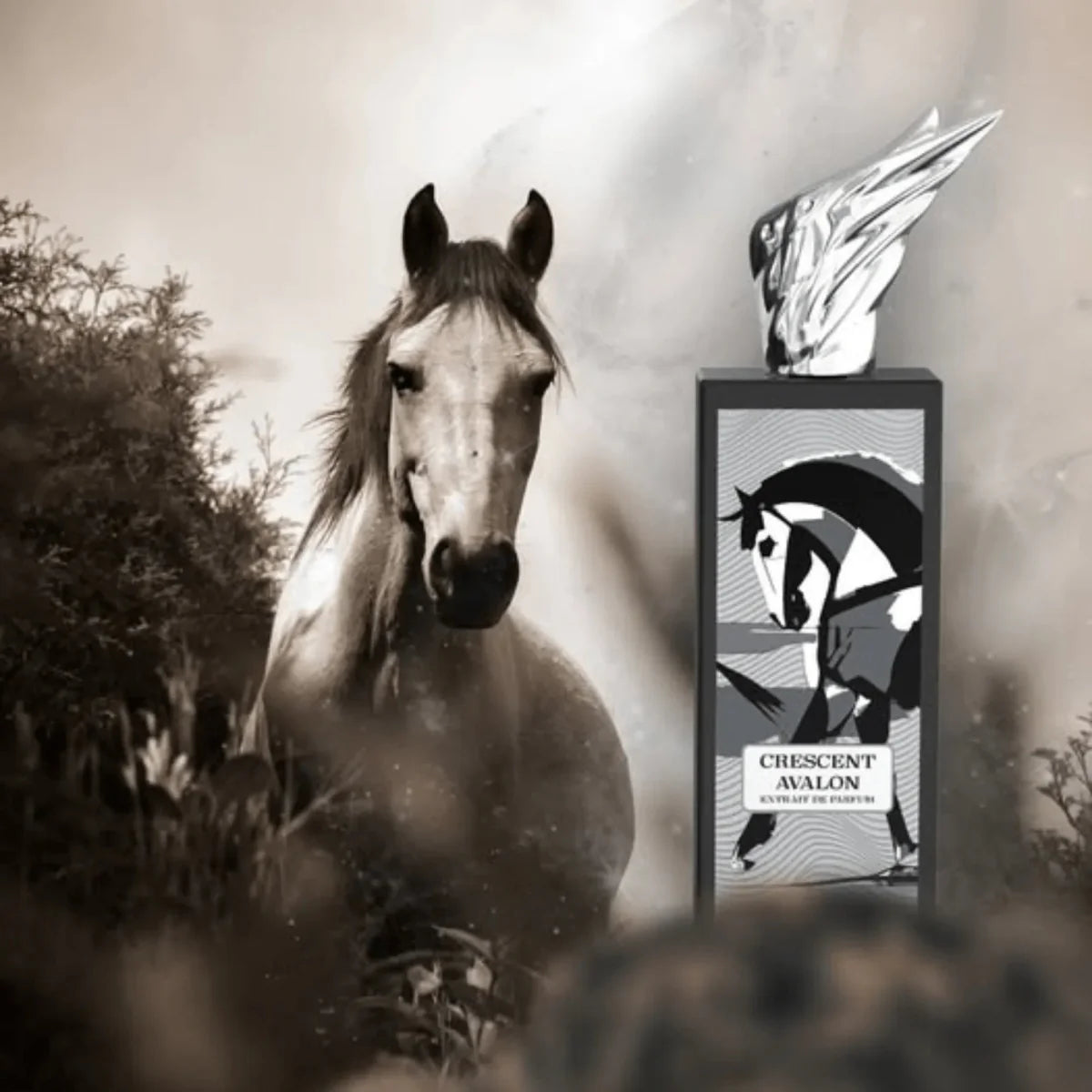 Amaran The Irish Collection Crescent Avalon Gift Set Set 1 6294019030606