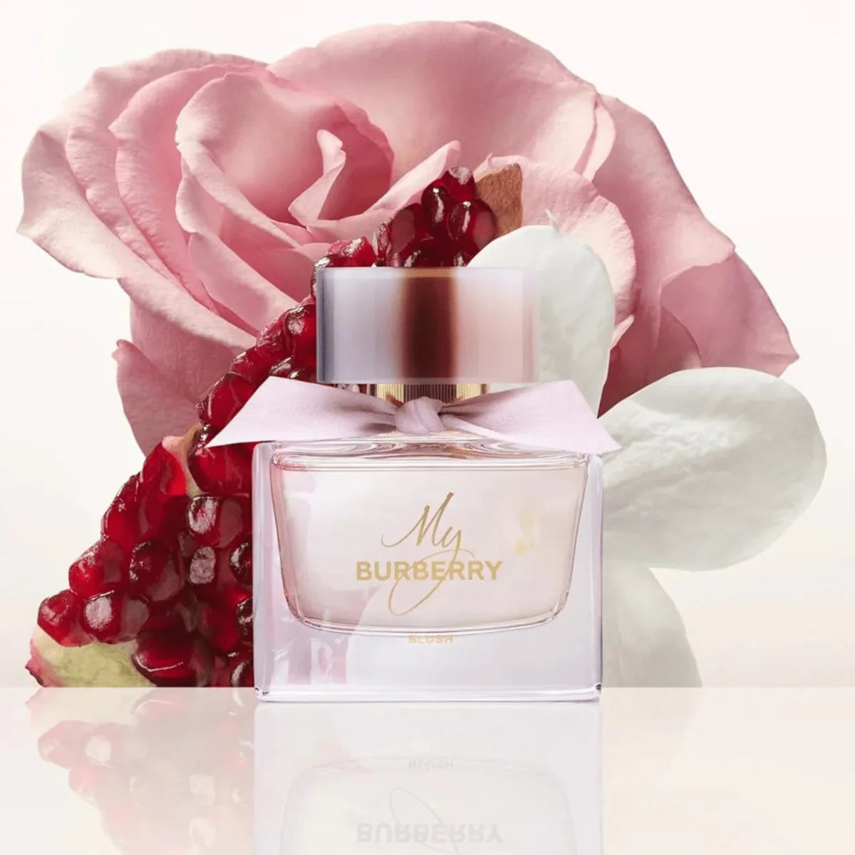 Burberry Blush Fragrance 3.0 oz 3614229829044