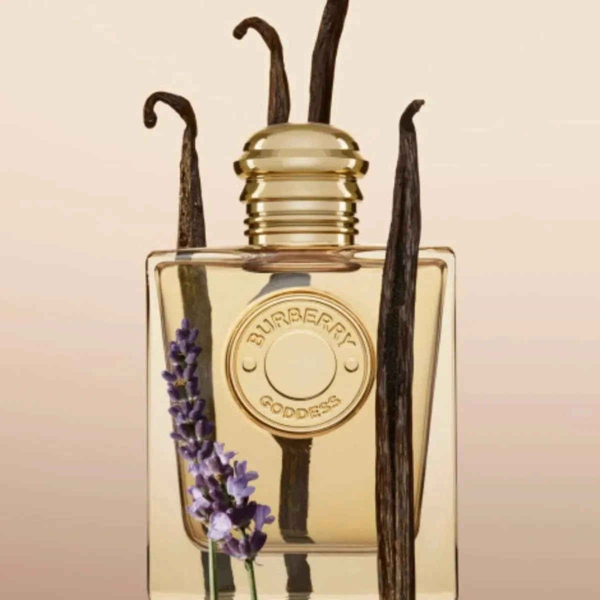 Burberry Goddess Fragrance 3.4 oz 3616302020652