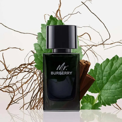 Burberry Mr. Burberry Fragrance 3.4 oz 3616301838210