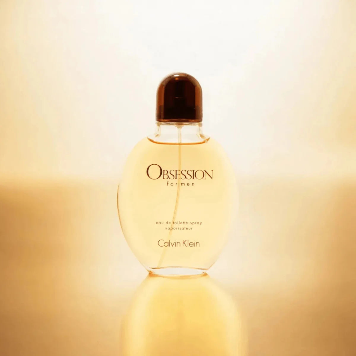 Calvin Klein Obsession Fragrance 4.2 oz 88300606511