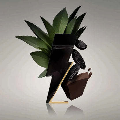 Carolina Herrera Bad Boy Fragrance 3.4 oz 8411061099728