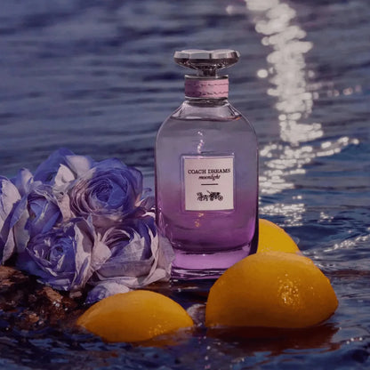 Coach Dream Moonlight Fragrance 3.0 oz 3386460151962