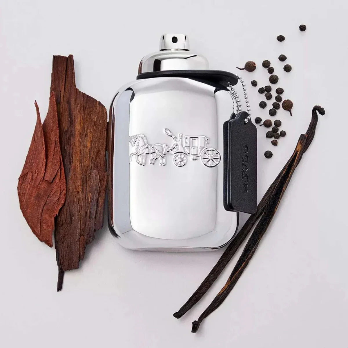 Coach Platinum Fragrance 3.3 oz 3386460096867