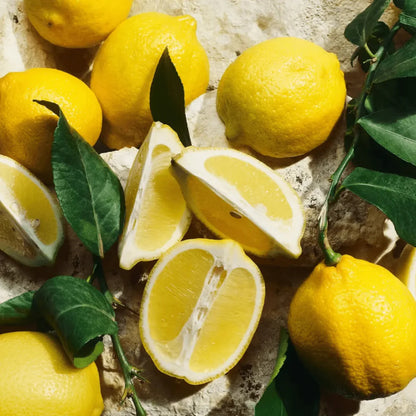 Dolce & Gabbana Light Blue Fragrance 3.3 oz 8057971180318