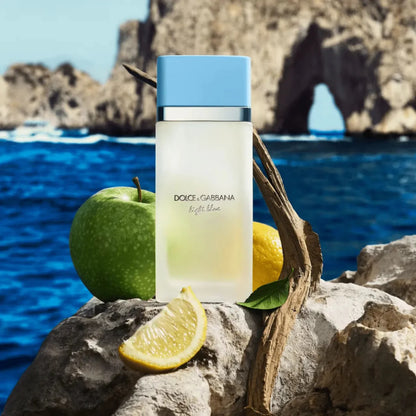 Dolce & Gabbana Light Blue Fragrance 3.3 oz 8057971180318