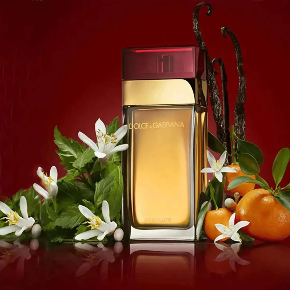 Dolce & Gabbana Pour Femme Fragrance 3.3 oz 8057971180394