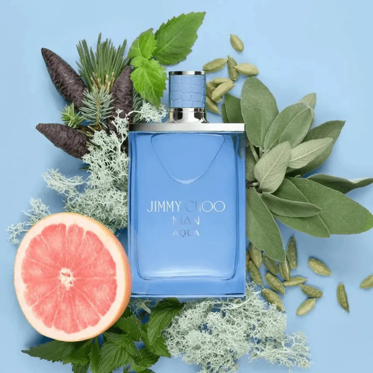 Jimmy Choo Mens Aqua Fragrance 3.4 oz 3386460129824