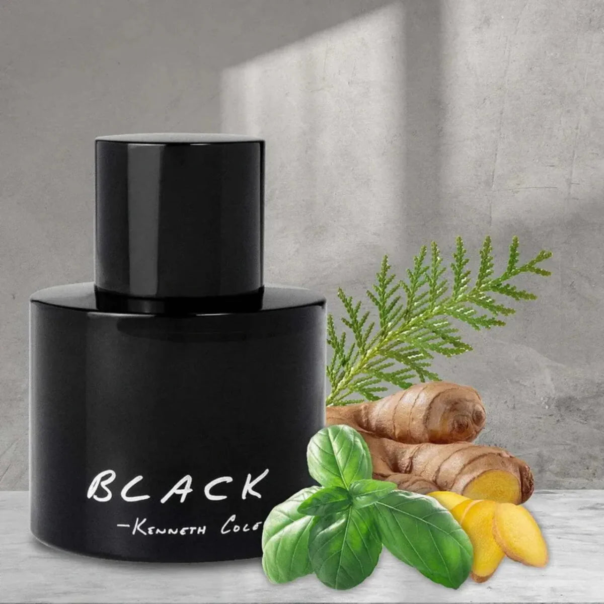 Kenneth Cole Black Fragrance 3.4 oz 608940553893