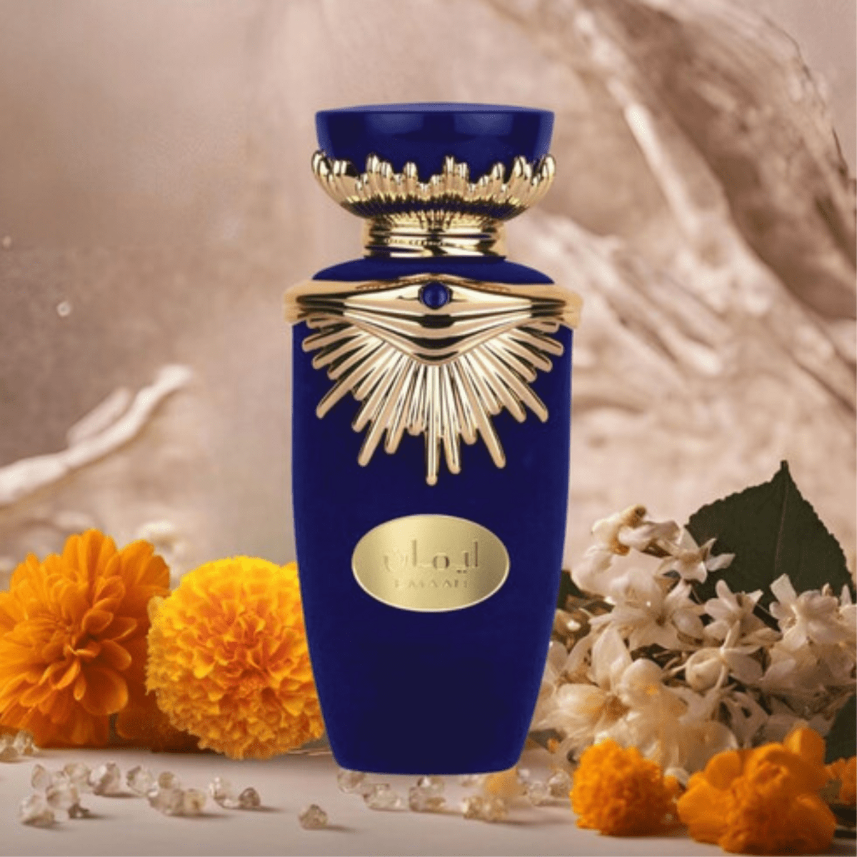 Lattafa Emaan Fragrance 3.4 oz 6291108738498