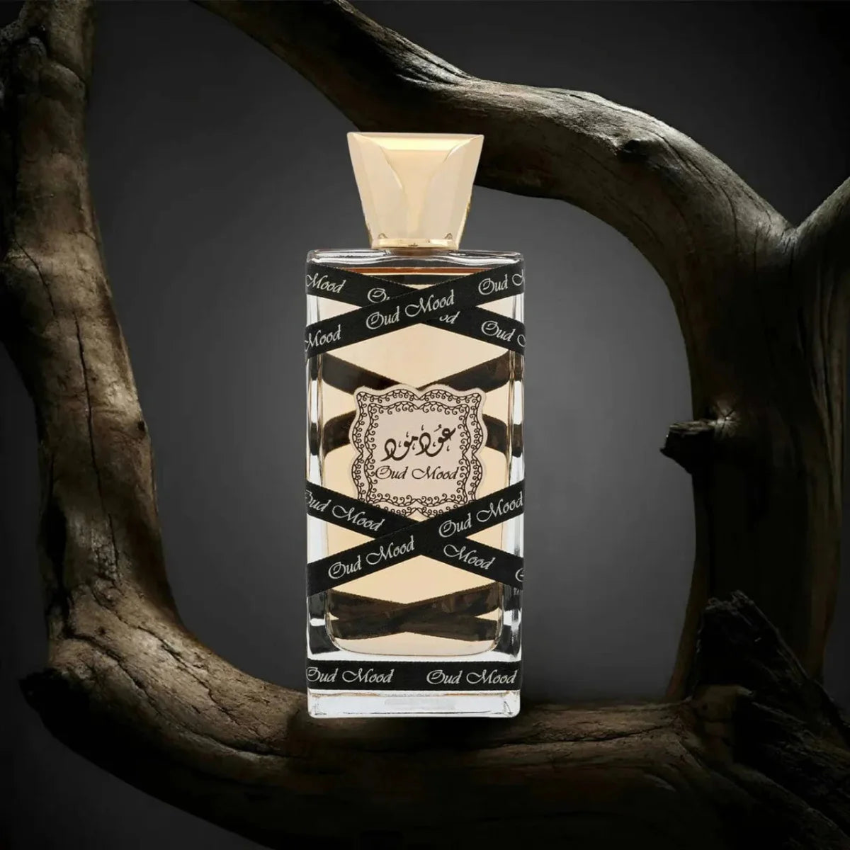 Lattafa Oud Mood Fragrance 3.4 oz 6291106065114