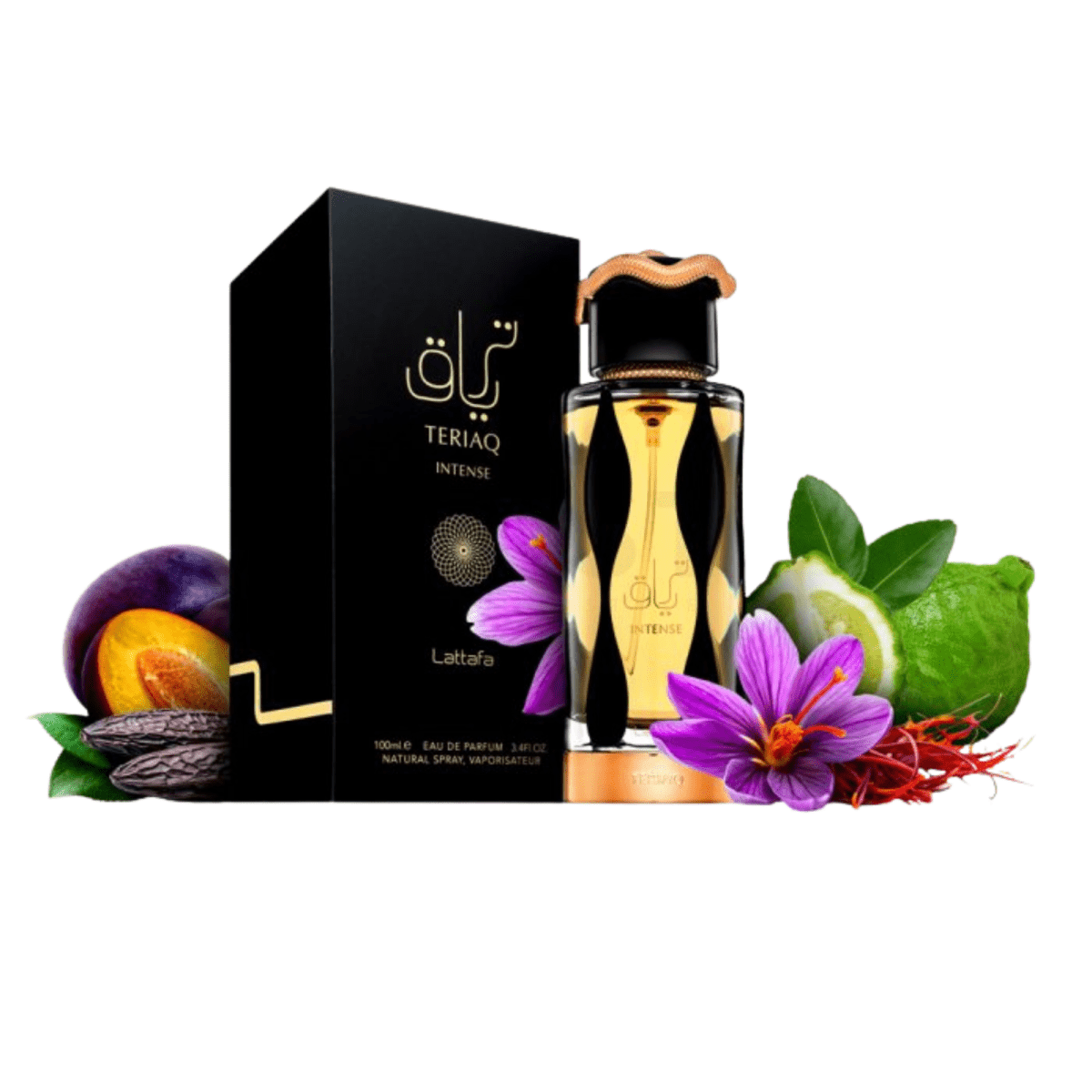 Lattafa Teriaq International Fragrance 3.4 oz 6290360595771