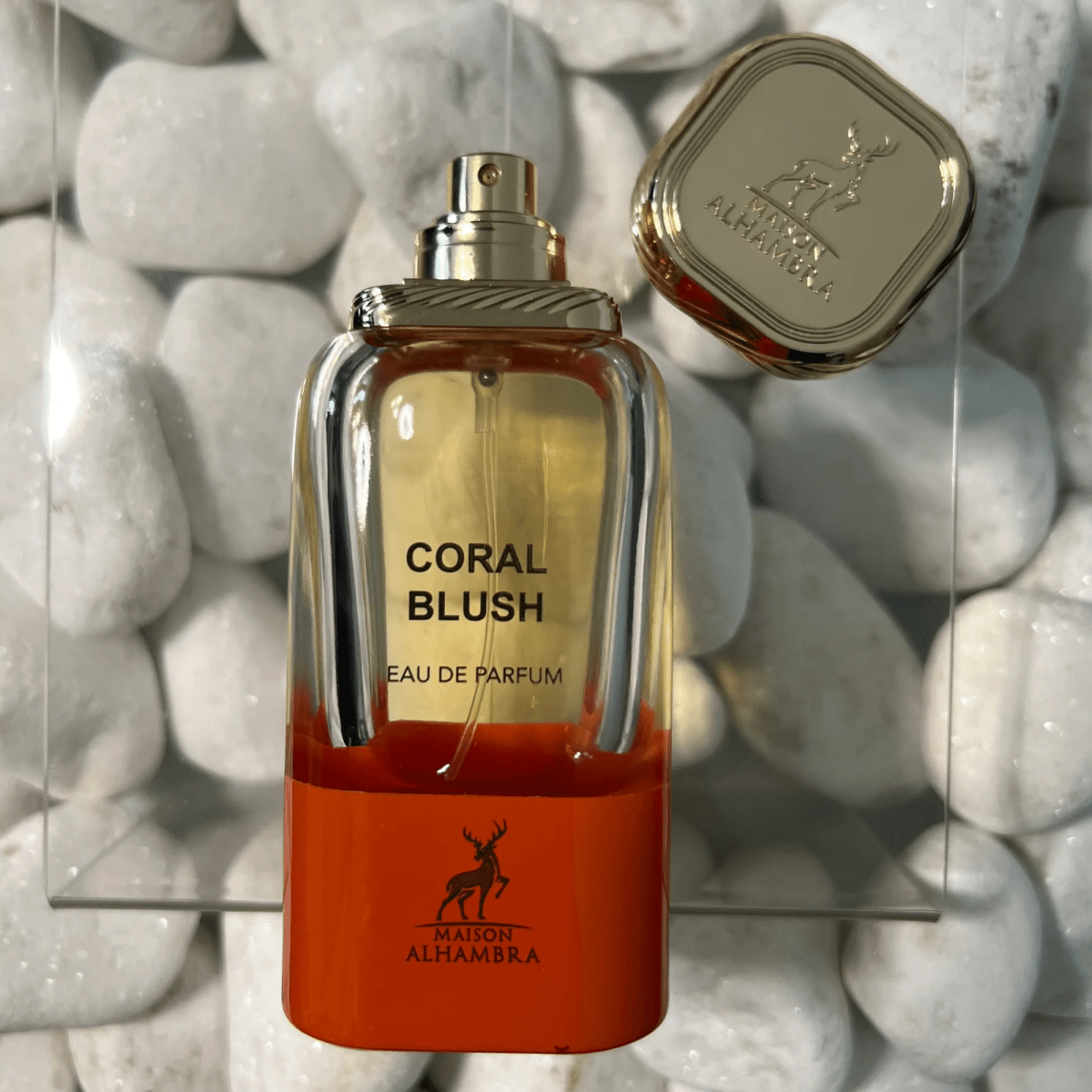 Maison Alhambra Coral Blush Fragrance 2.7 oz 6290362343189