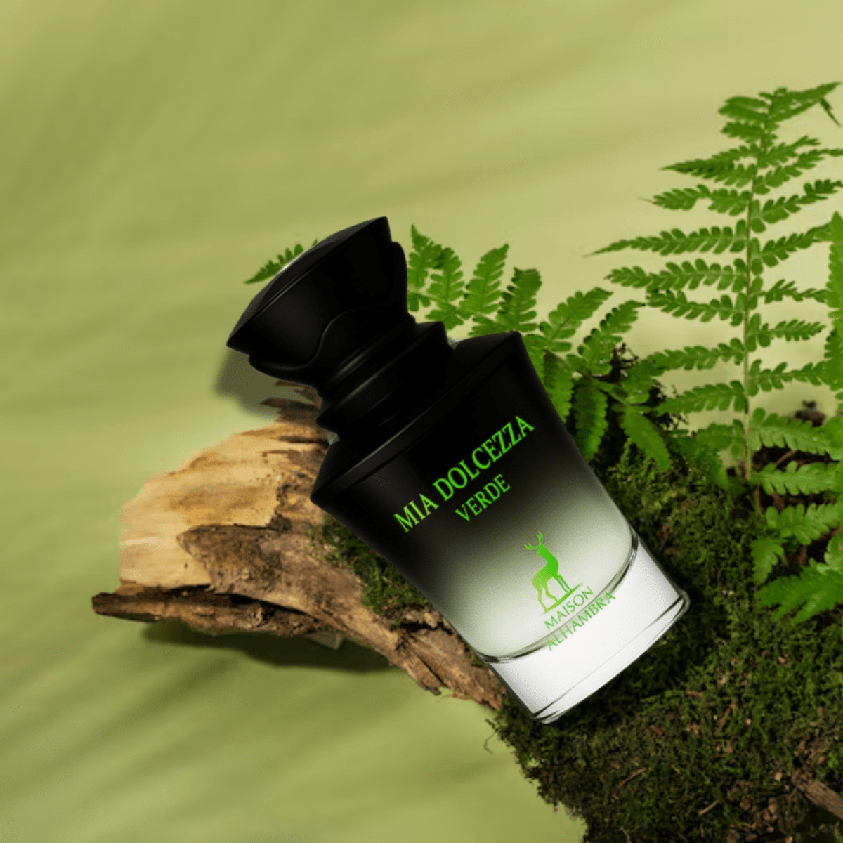 Maison Alhambra Mia Dolcczza Verde Fragrance 3.4 oz 6290362342533