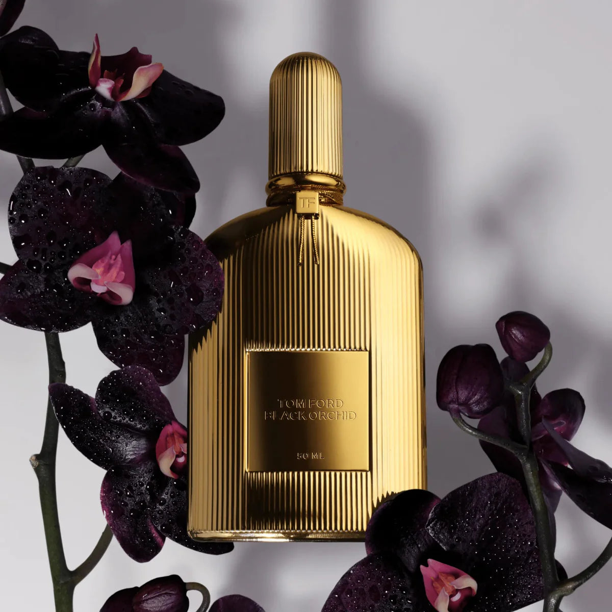 Tom Ford Black Orchid Fragrance 1.7 oz 888066112734