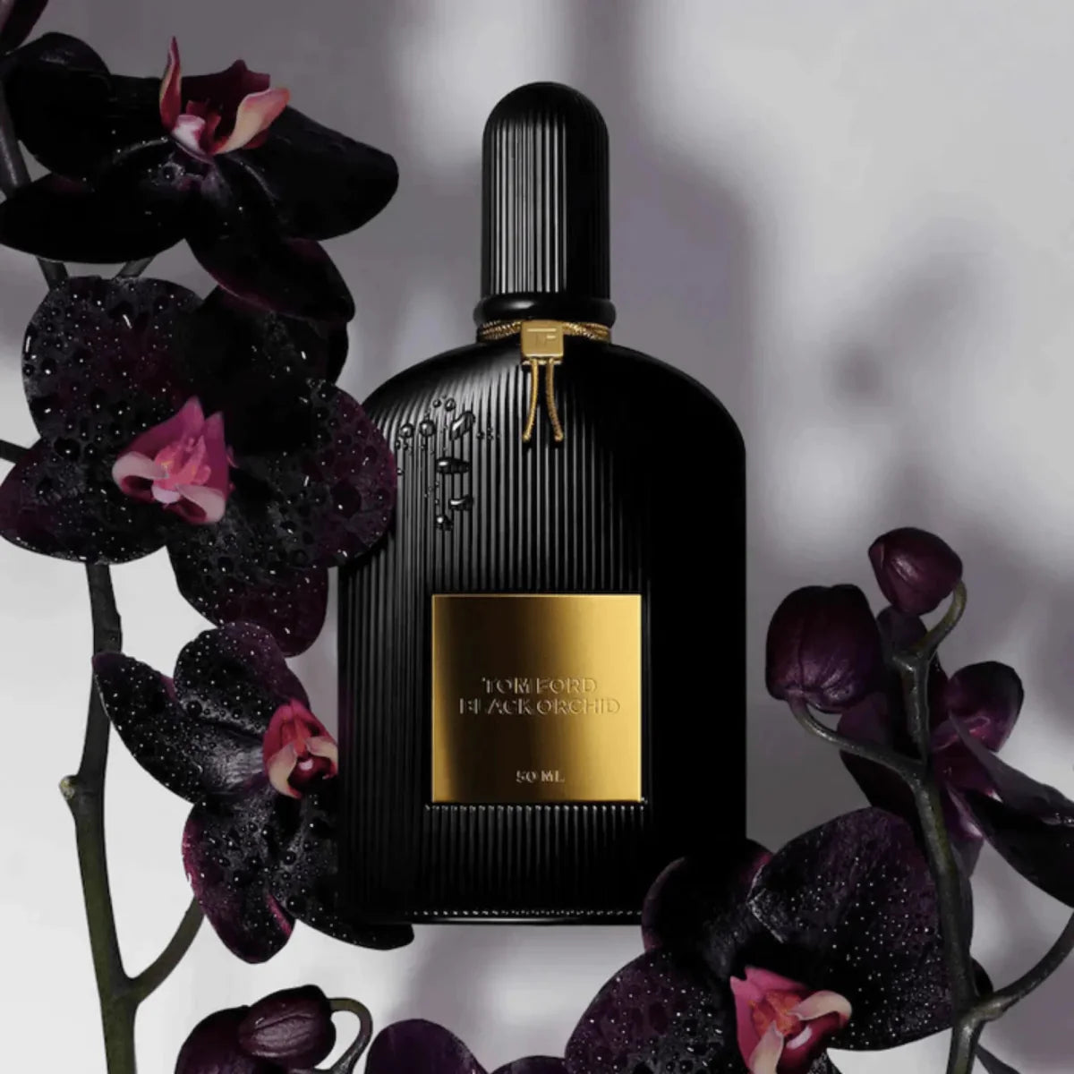 Tom Ford Black Orchid Fragrance 3.4 oz 888066000079