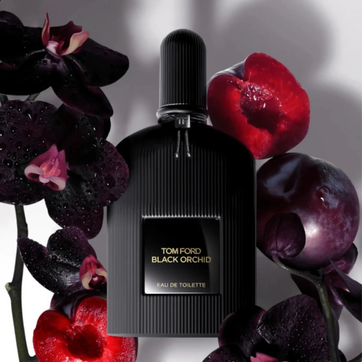 Tom Ford Black Orchid Fragrance 3.4 oz 888066149068