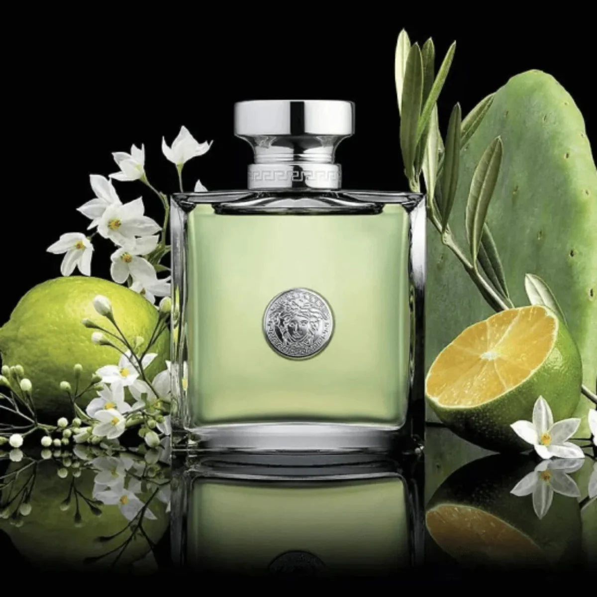 Versace Versense Fragrance 3.4 oz 8011003997022