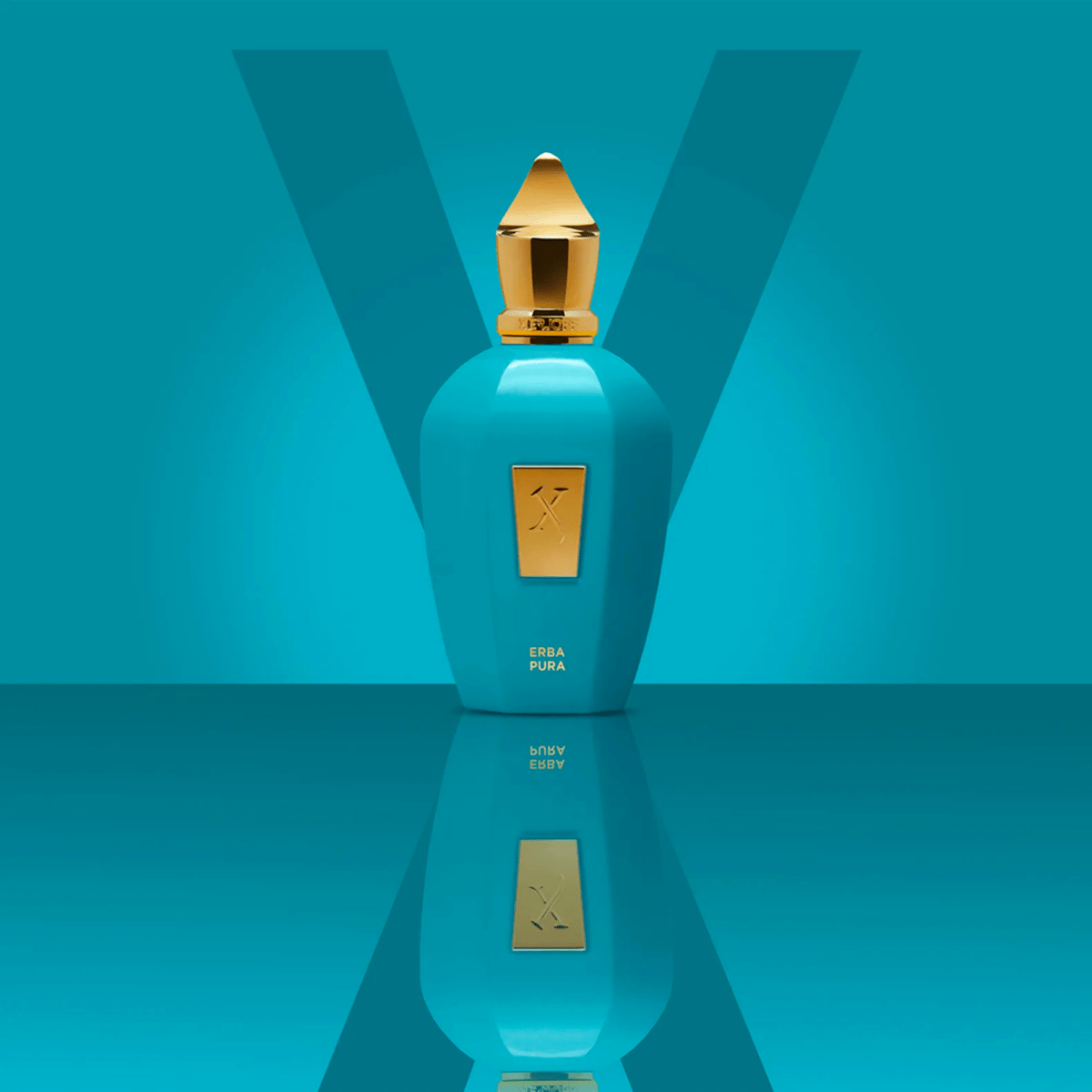 Xerjoff Erba Pura Fragrance 3.4 oz 8054320902584